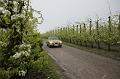 MG Bloesemrit op 24-4-2016 org. Jos&Marie-lou  (94)